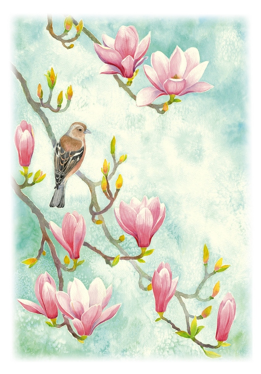 Magnolia and Female Chaffinch. Art card by Irina stetsenko